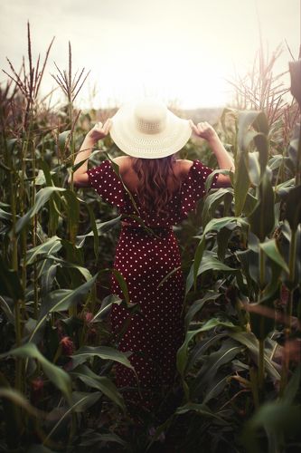 Field