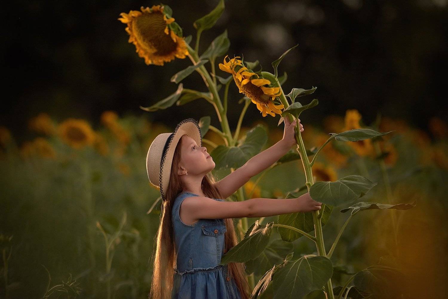 детский портрет, дети, детская фотография, подсолнухи, в подсолнухах, девочка, Надежда Каминская