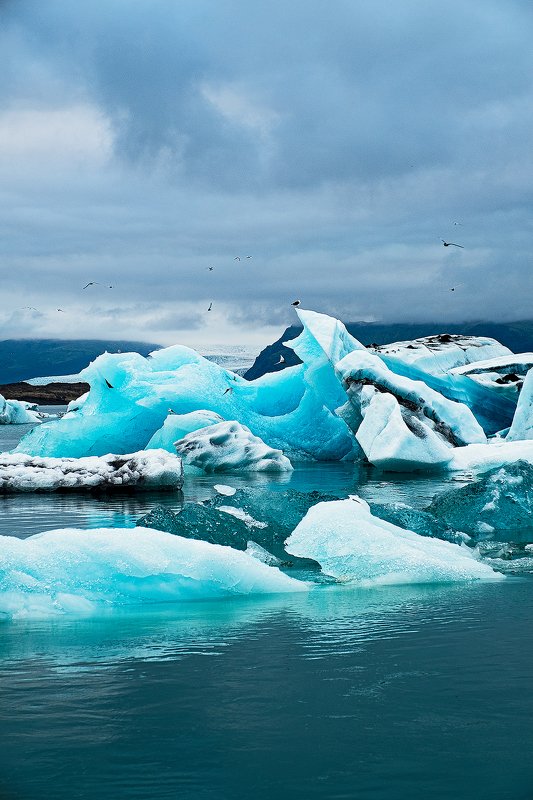 iceland, iceberg, glacier, lagoon, blue, исландия, ледник, лагуна, голубой, айсберг [icebergs of the glacier lagoon] фото превью