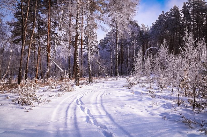 Дорога в сказку. фото превью