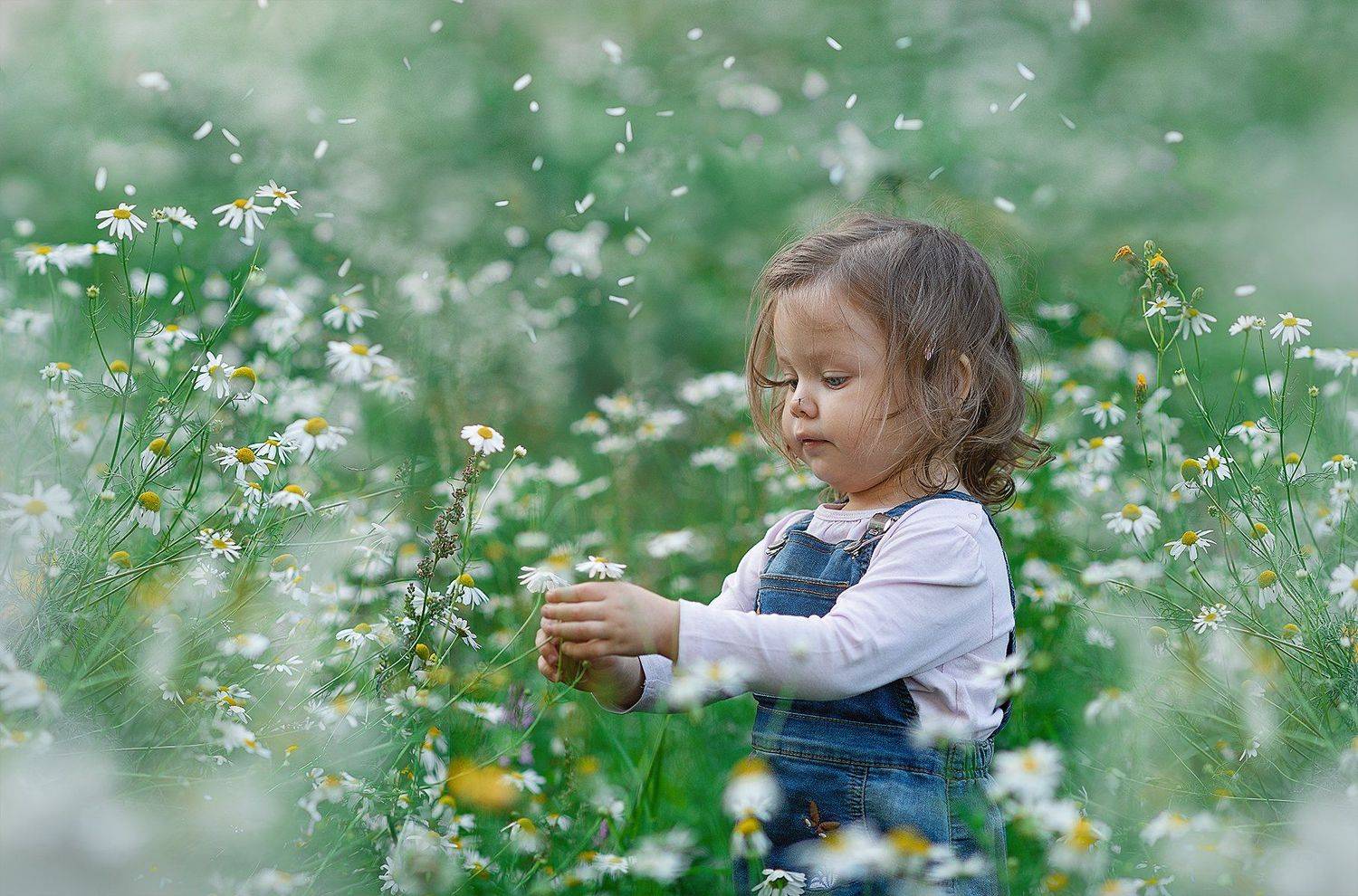 , Валерий Коновалов