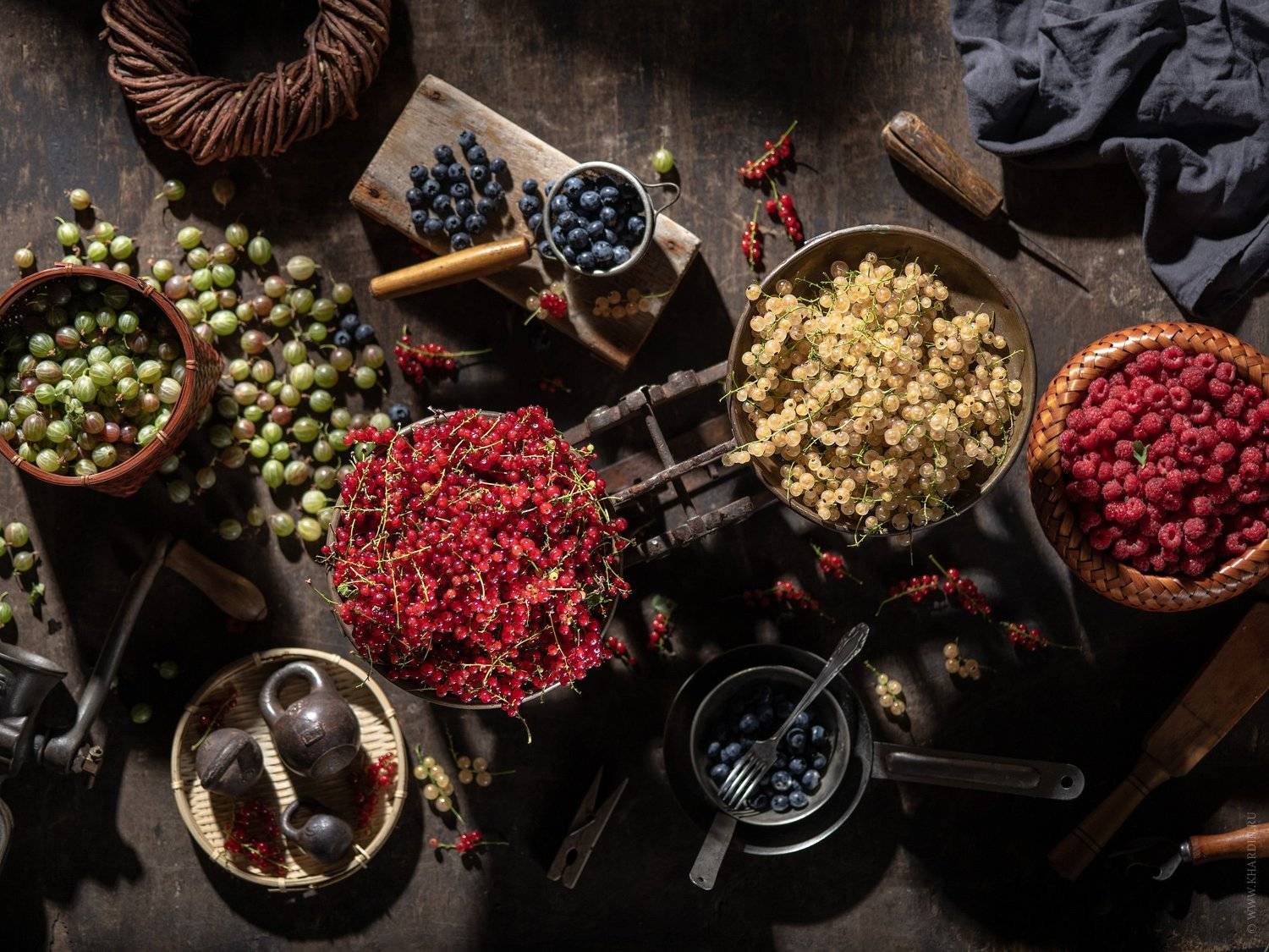 rustic currant , Alexander Khardin