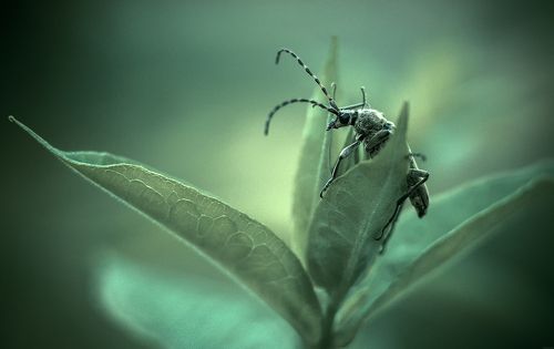 Карабкаясь...