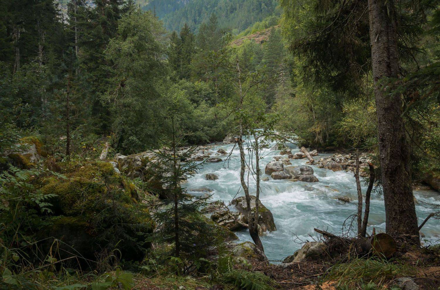 кавказ, махар, лес, река, вода, лето, природа, пейзаж,, Алиева Татьяна