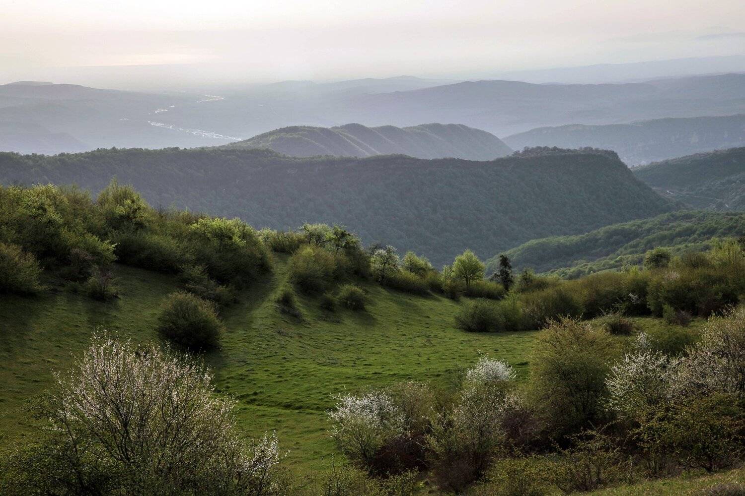 весна,горы,пейзаж,цветы,утро,дагестан., Marat Magov