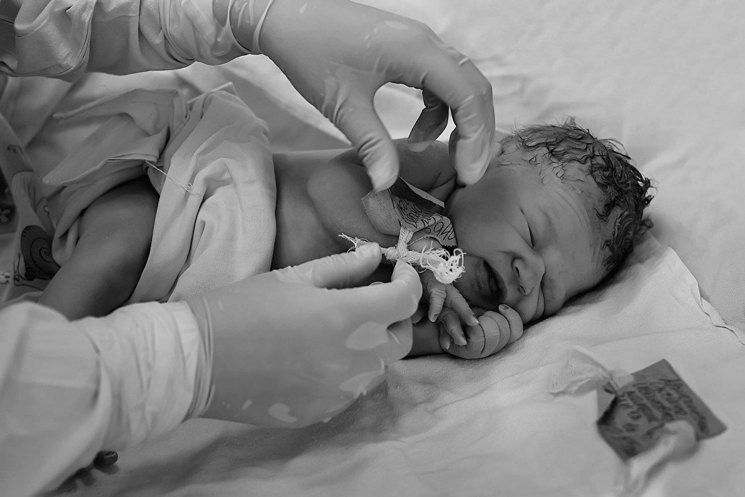 , Илона Чвань