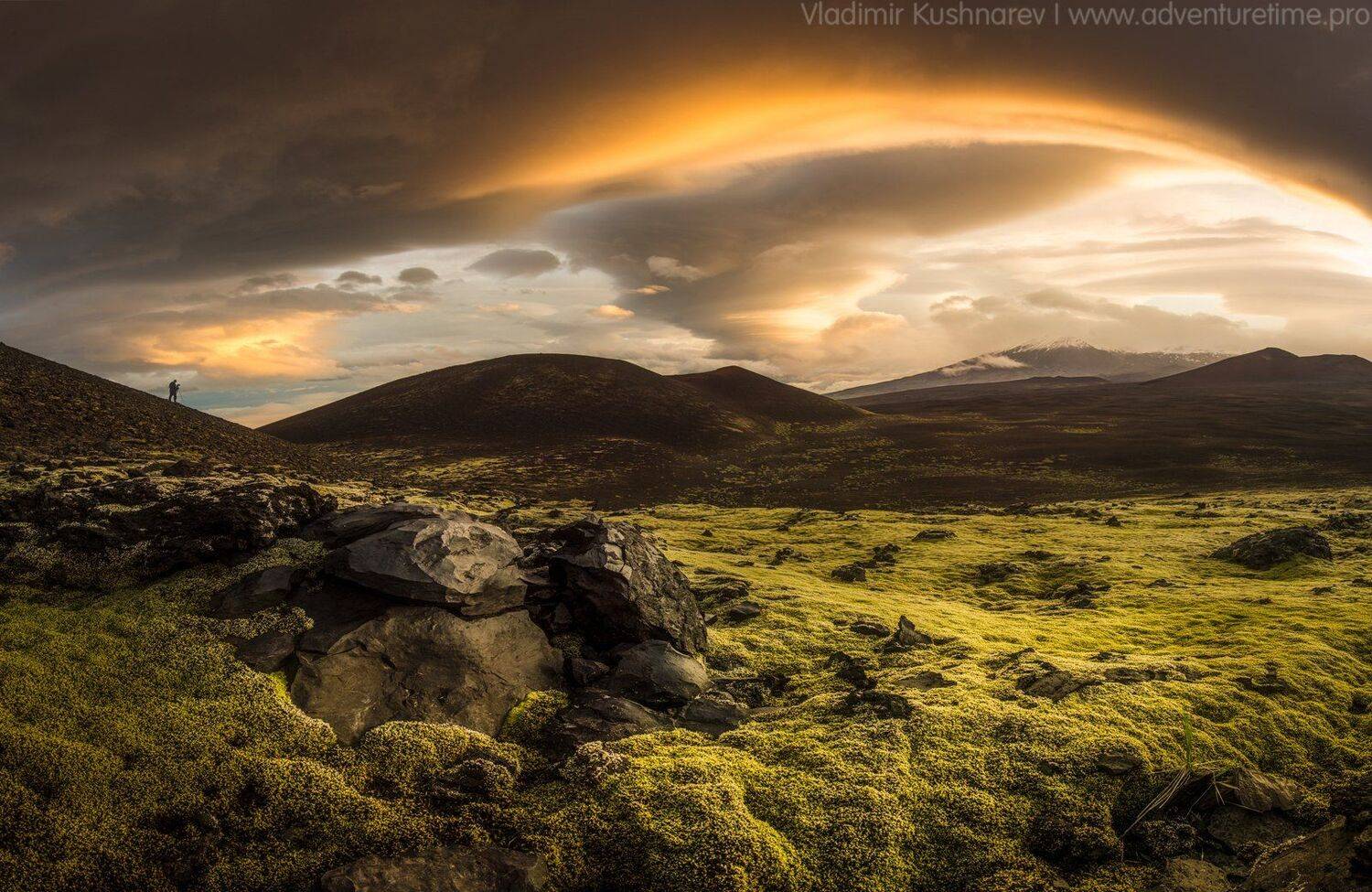 , Vladimir Kushnarev