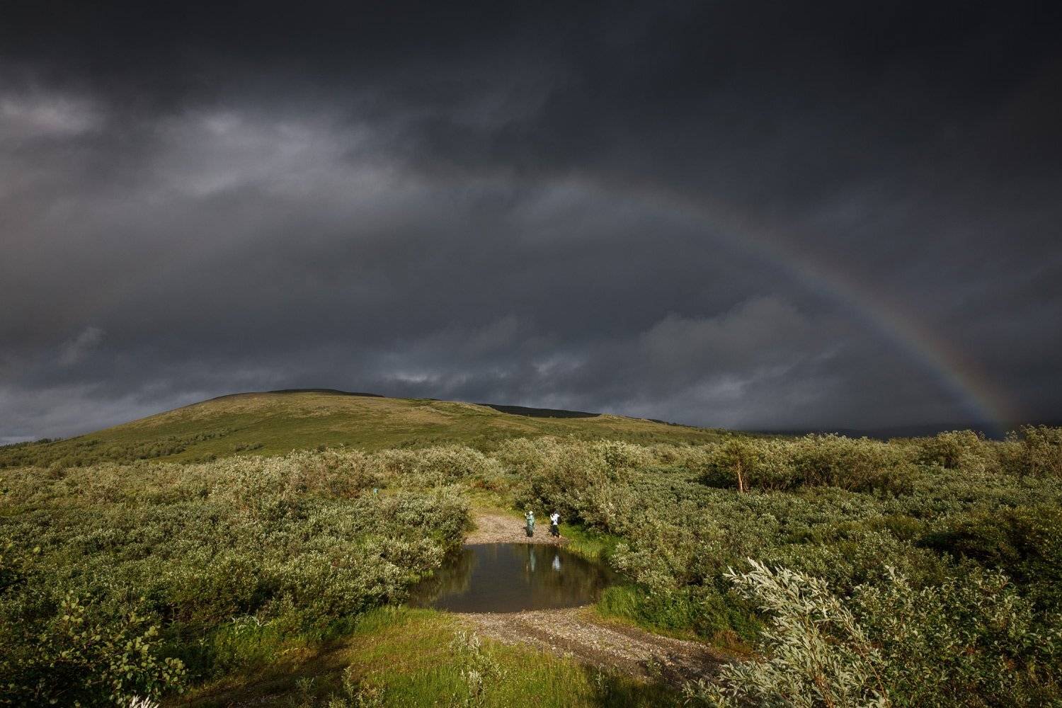 , Евгений Кужилев