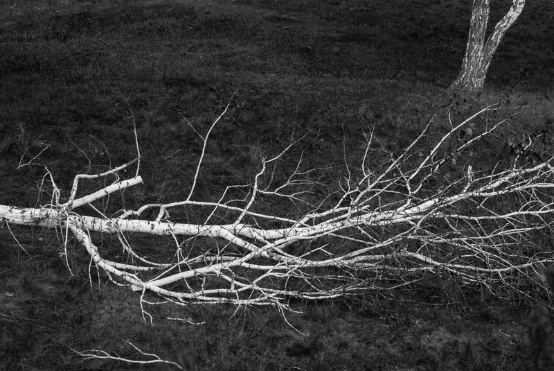 фотография, художественная, фотография, черно-белая, фотография, , окрестности surrounding area/из цикла фото превью