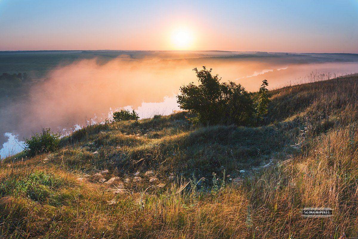 , Андрей Cоколов