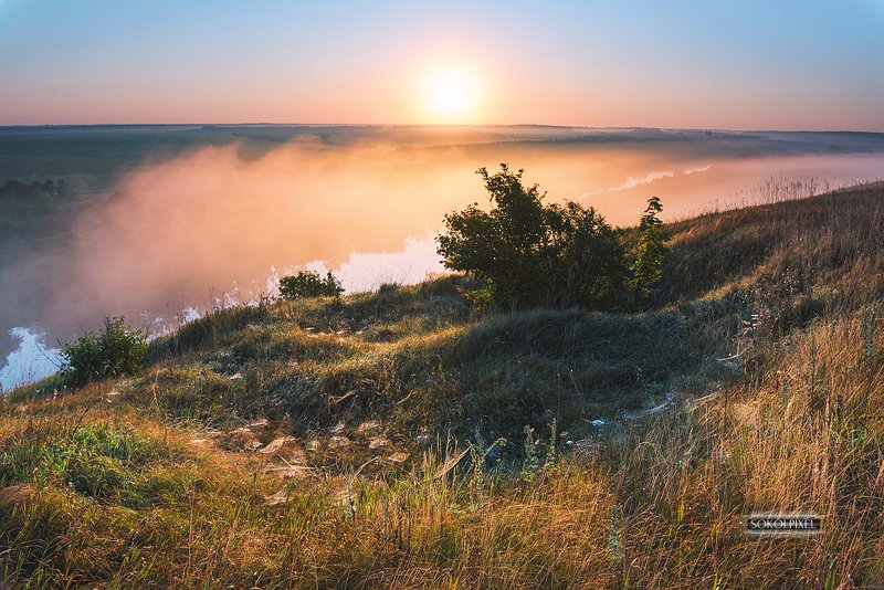 Пейзаж с паутинками фото превью