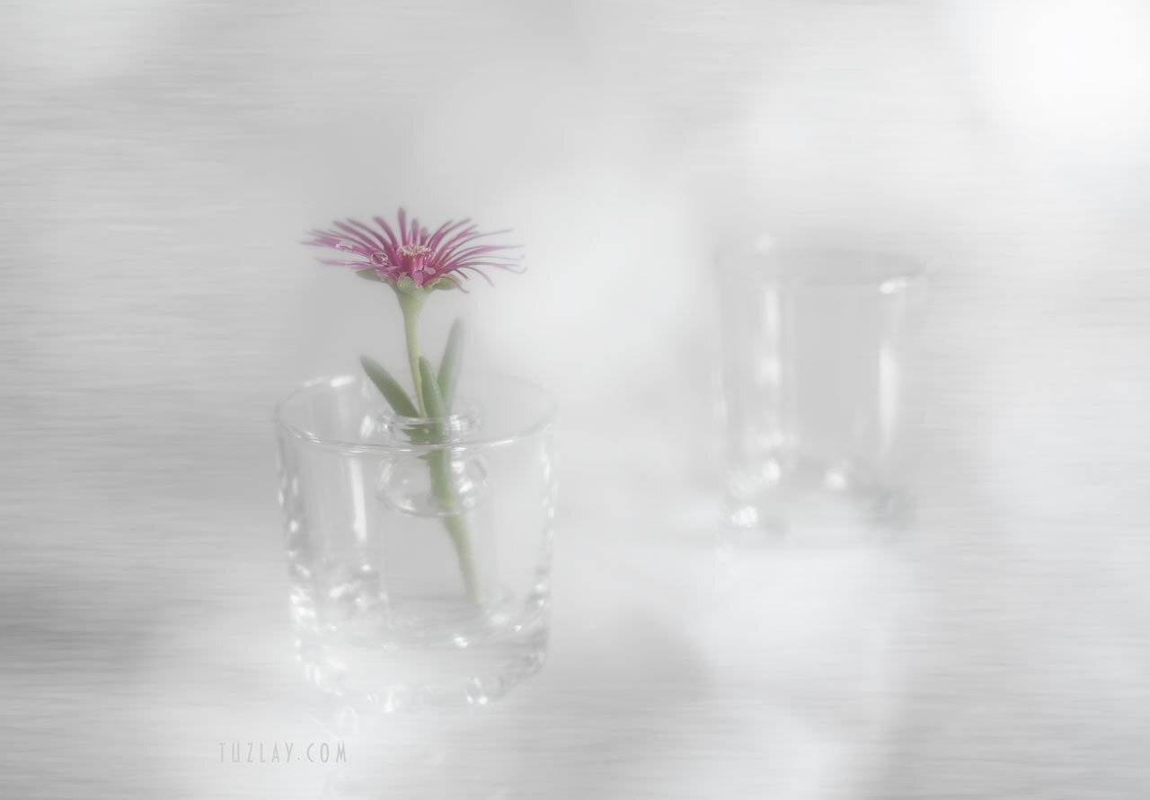 , Владимир Тузлай