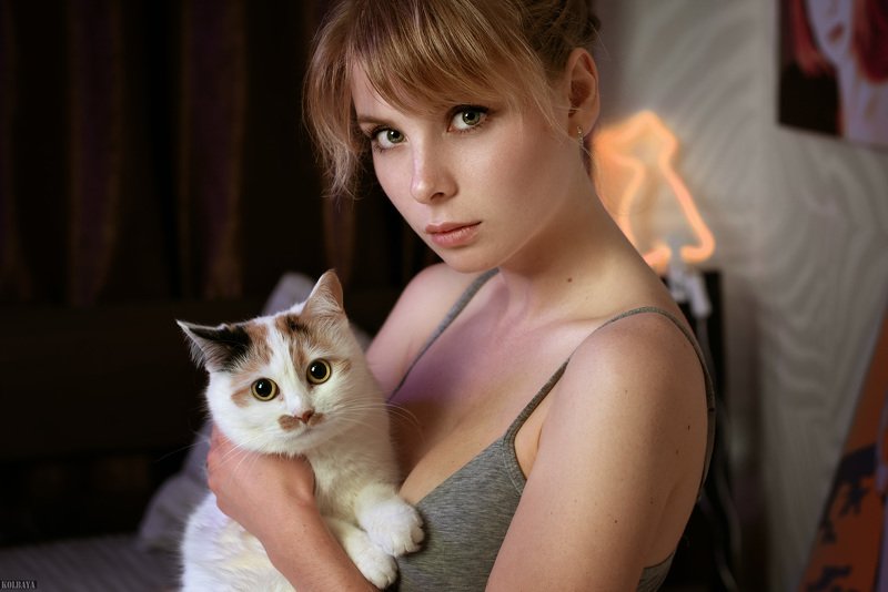 портрет, кошка, модель Котизм фото превью