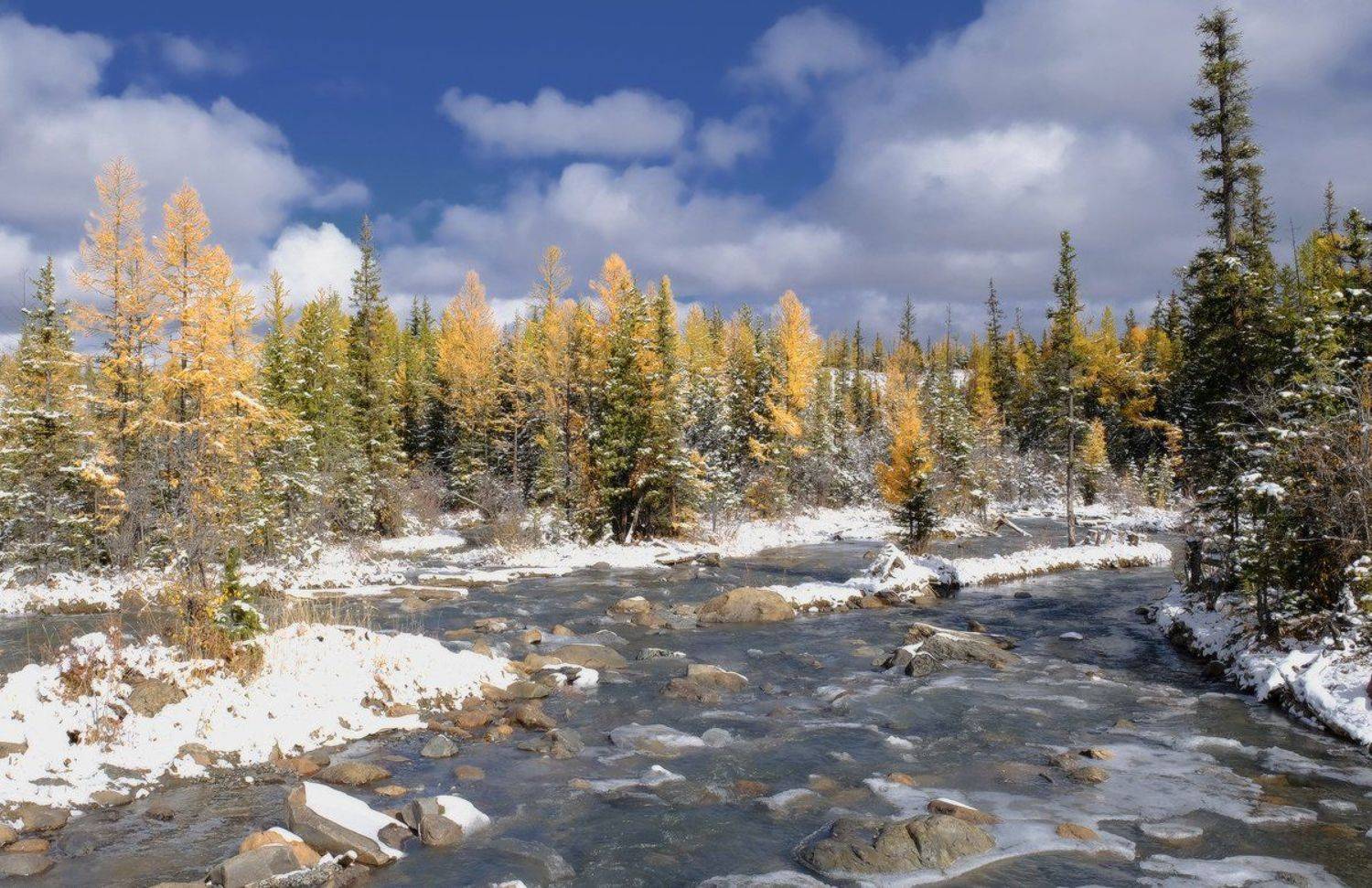 , Ольга Челдыкова