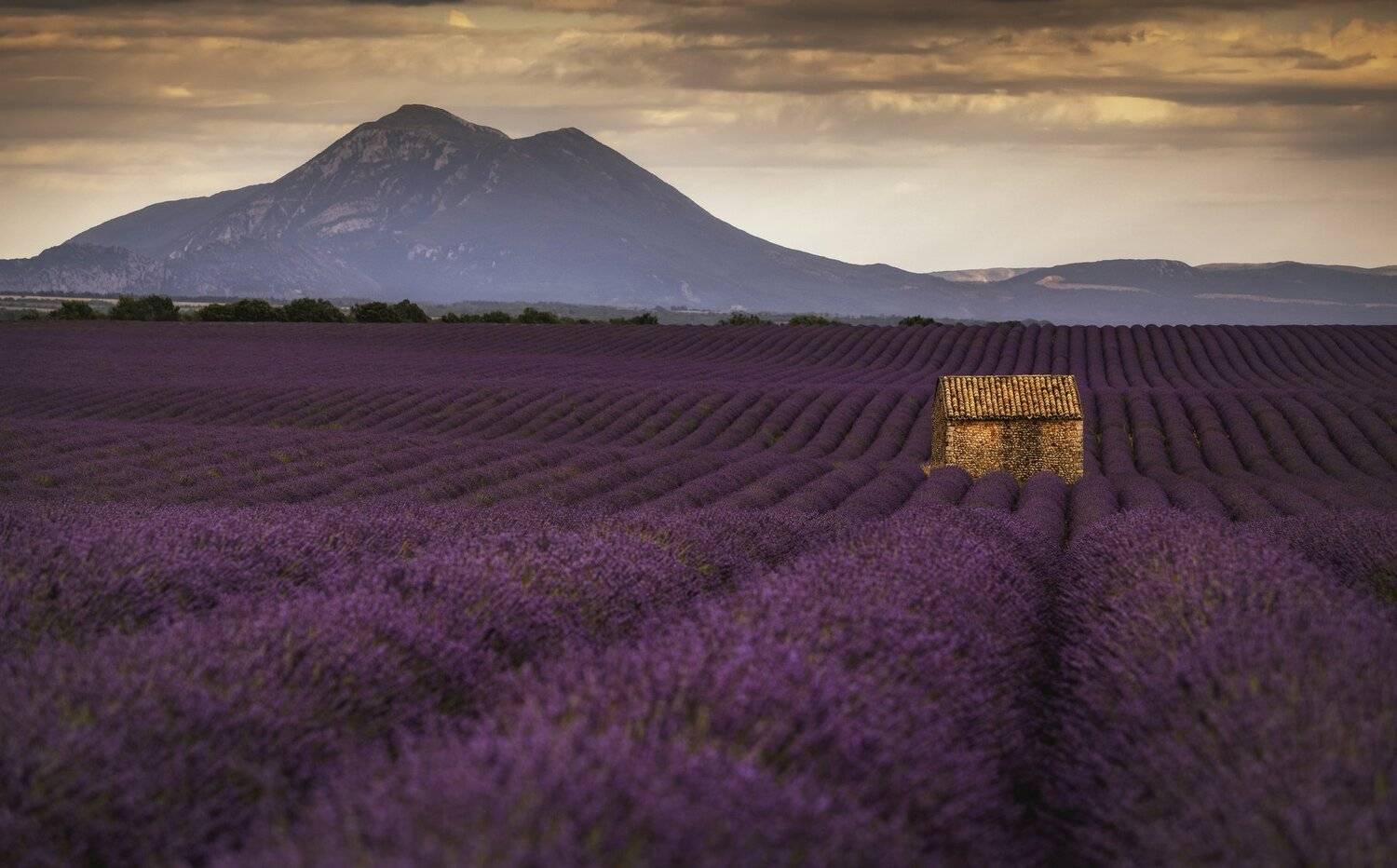дом, горы, лаванда, Александр Безмолитвенный