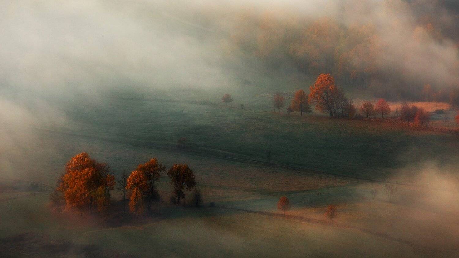 landscape,canon,mist,light,autumn, Iza i Darek Mitręga
