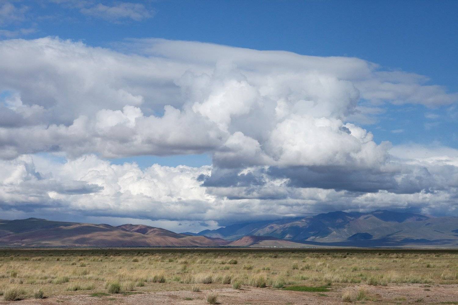 алтай, курайская степь. altai republic, russia. #алтай, Сергей Сотников