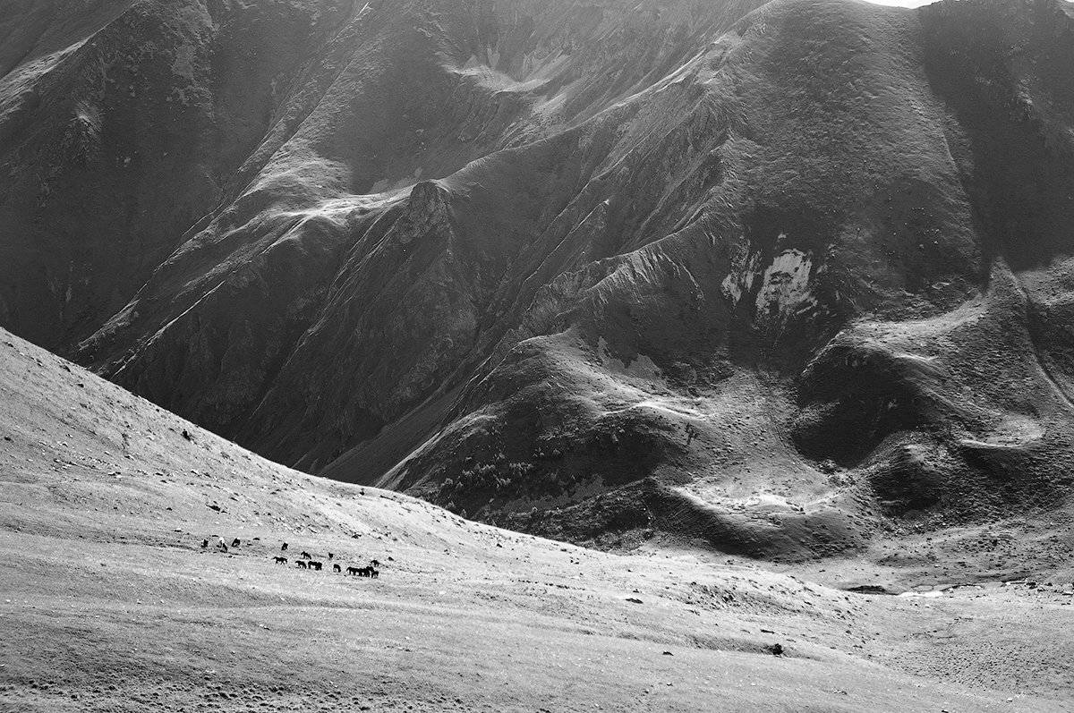 , Дитковский Евгений