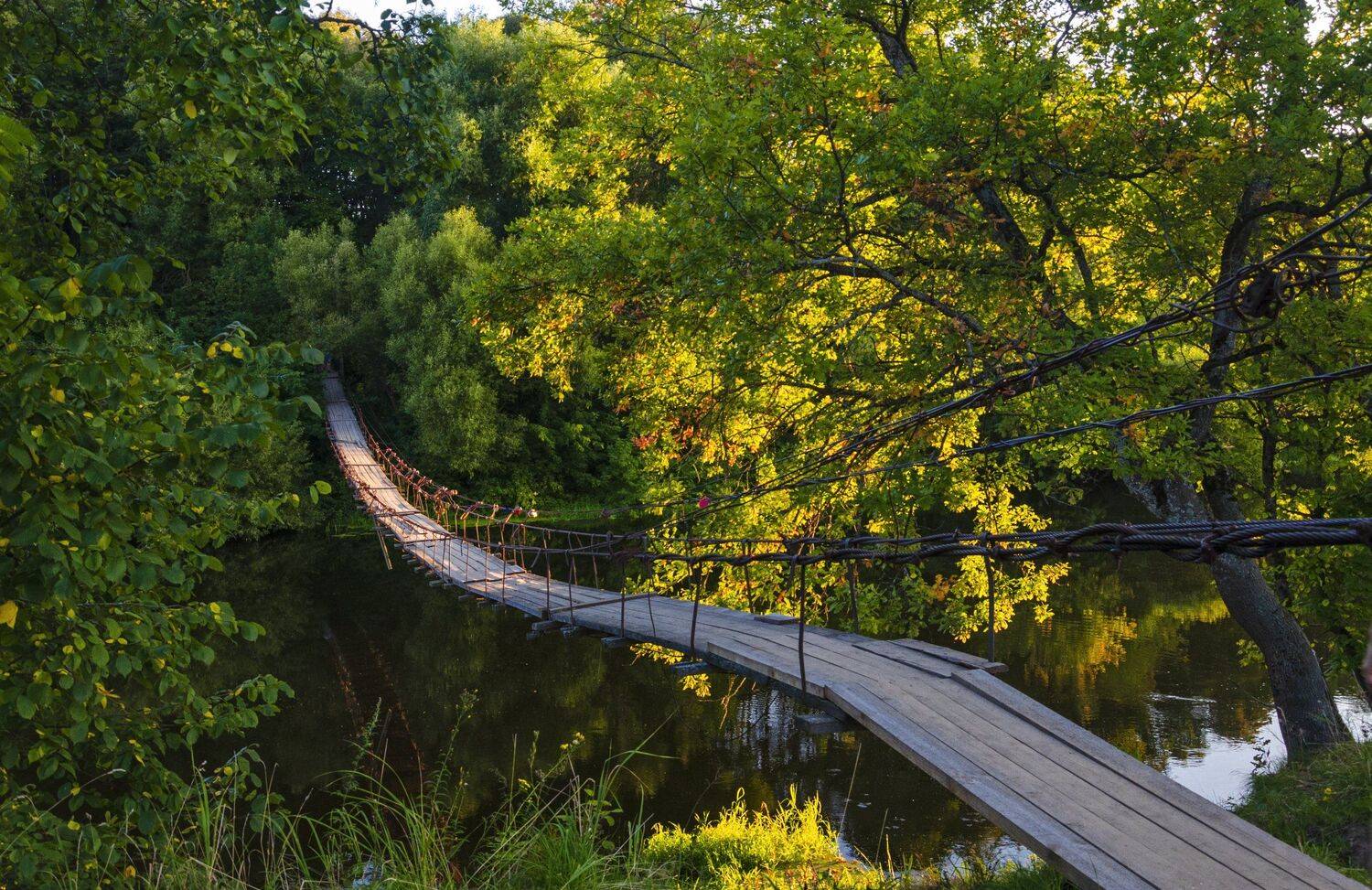 вечер, десна, река, Александр Березуцкий