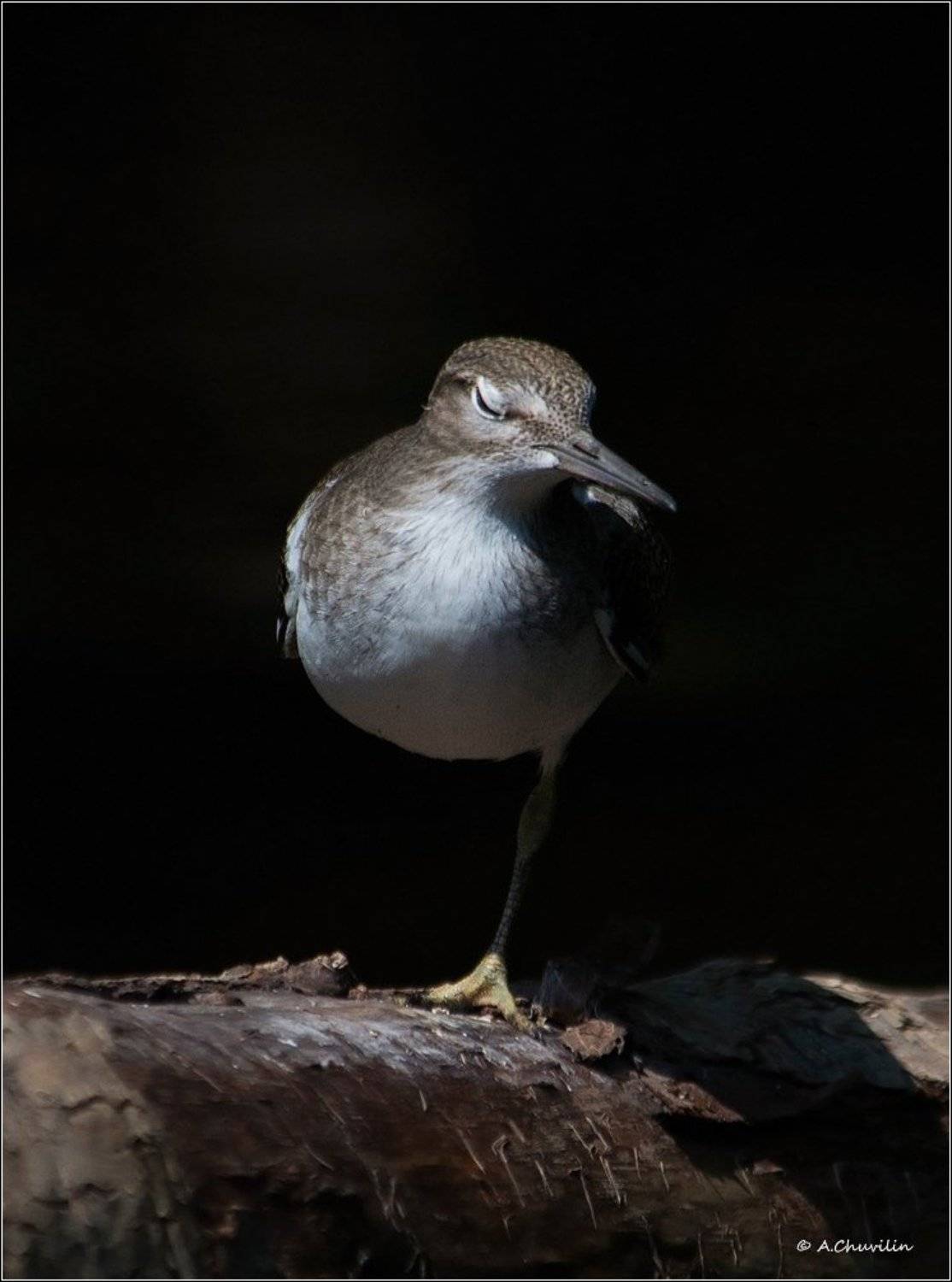 , Александр Чувилин