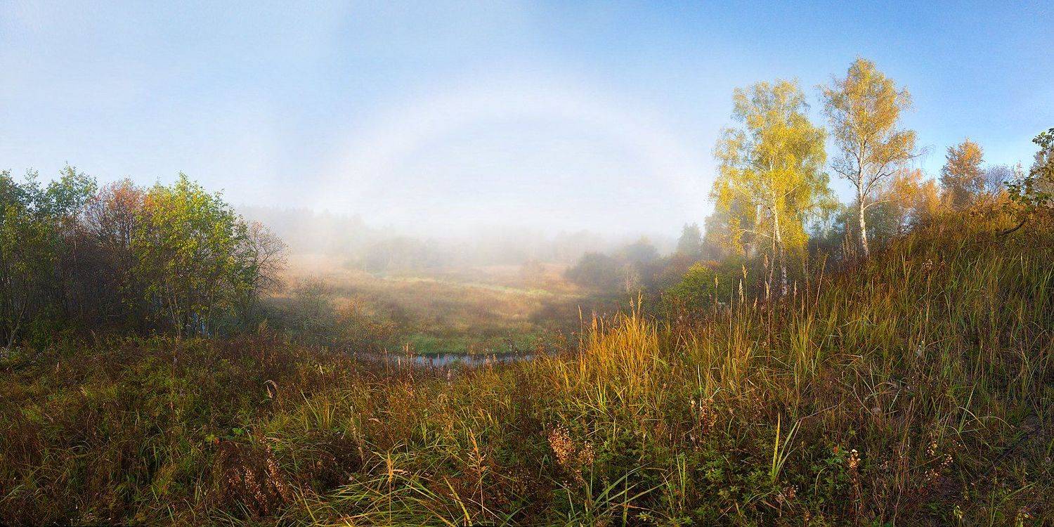 , Марина Брыдня