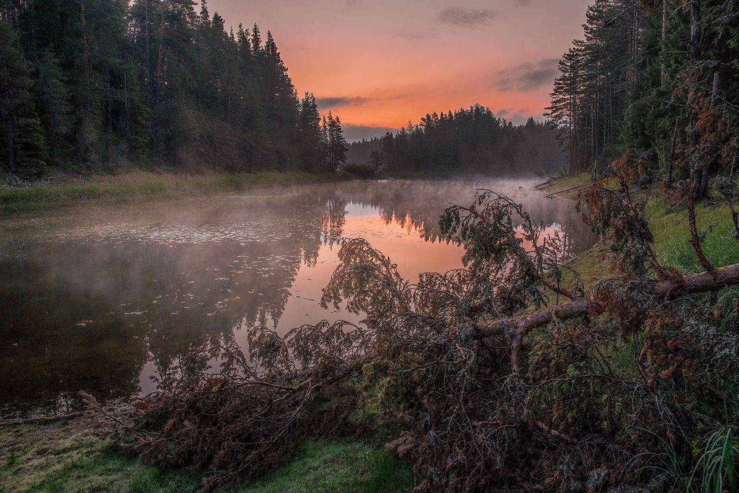 , Тодор Божков