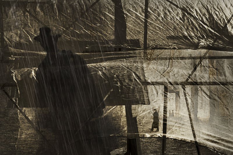 Октябрьское позднее фотография коллаж By the end of October/Октябрьское позднее фото превью