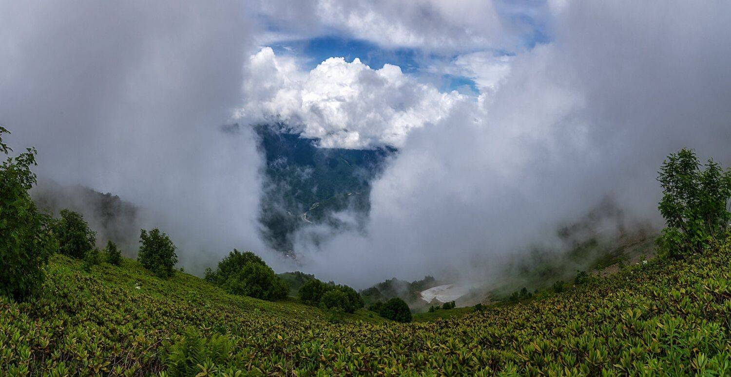 , Игорь Мелекесцев