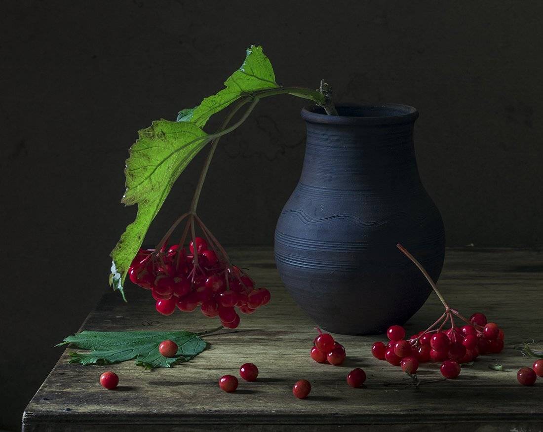 натюрморт,калина, Елена Рубинская