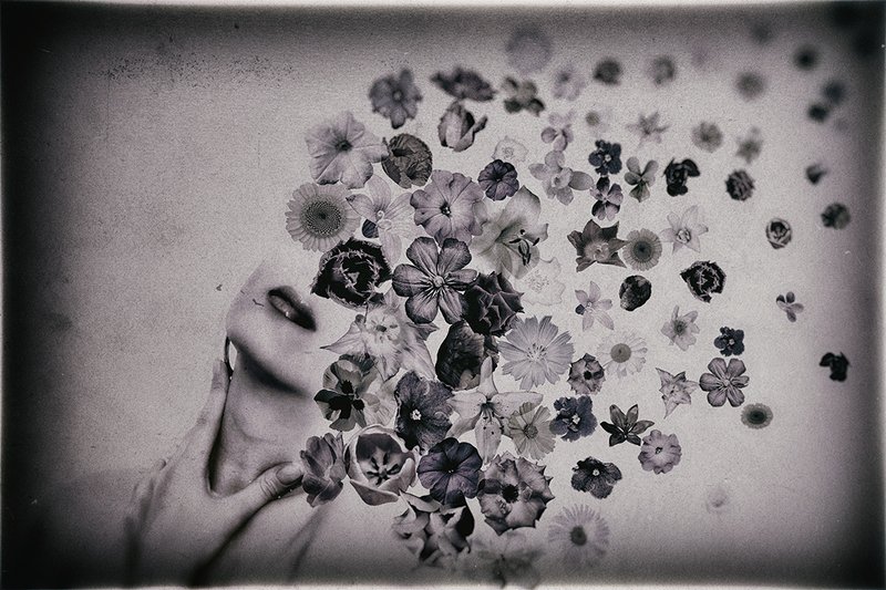 Флора фото превью