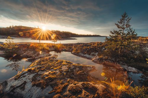 в искрах света