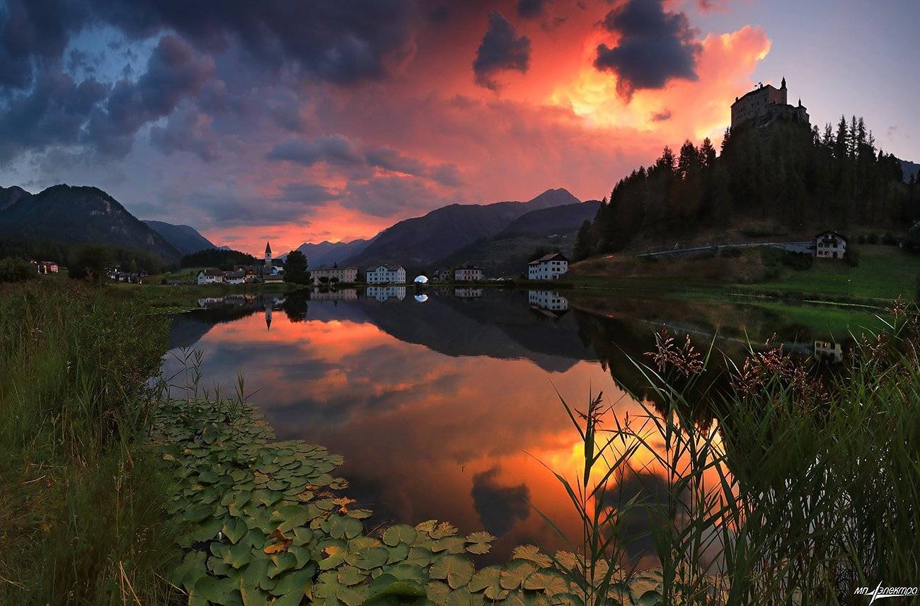 swiss, Матвеев Николай