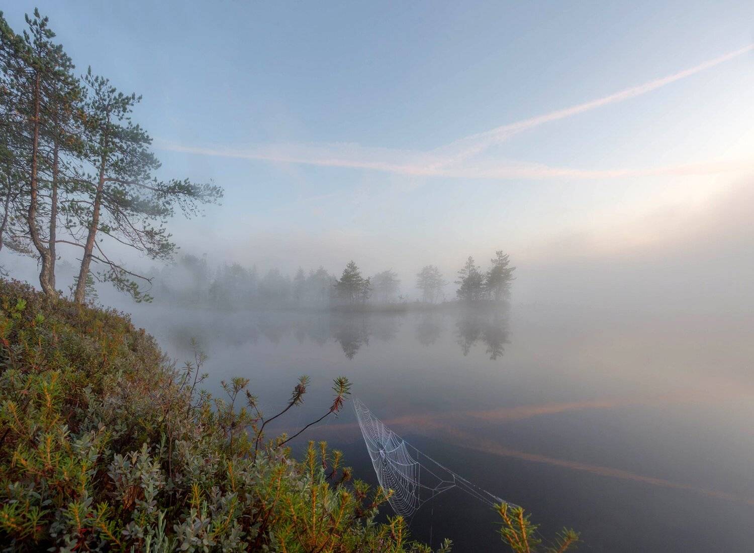 болото, кайф, рассвет ,север ,солнце, свет, туман, Павел Ващенков