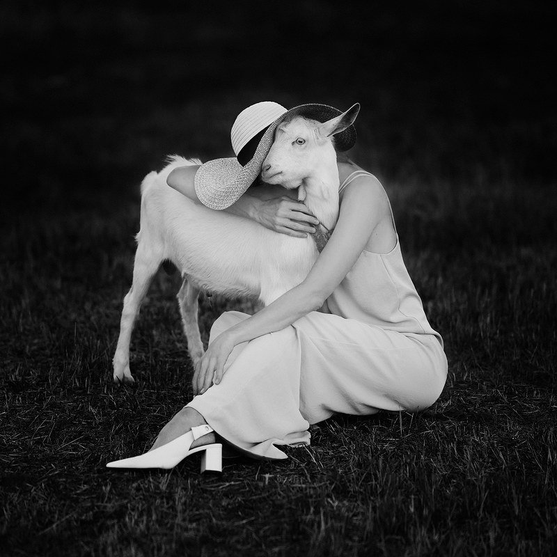 Potapov.store фото превью