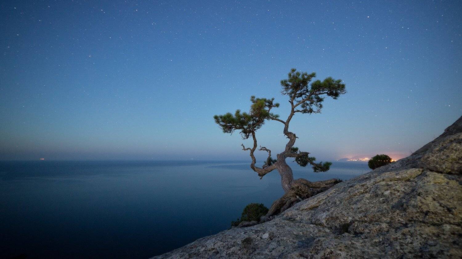 крым, Alexander Plekhanov
