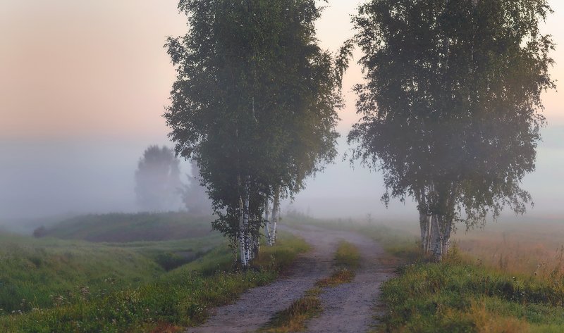питер, пейзаж, царскоесело, пушкин . . . фото превью