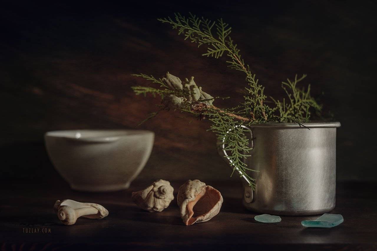 алюминиевая кружка, гелиос 44, ракушки, Владимир Тузлай