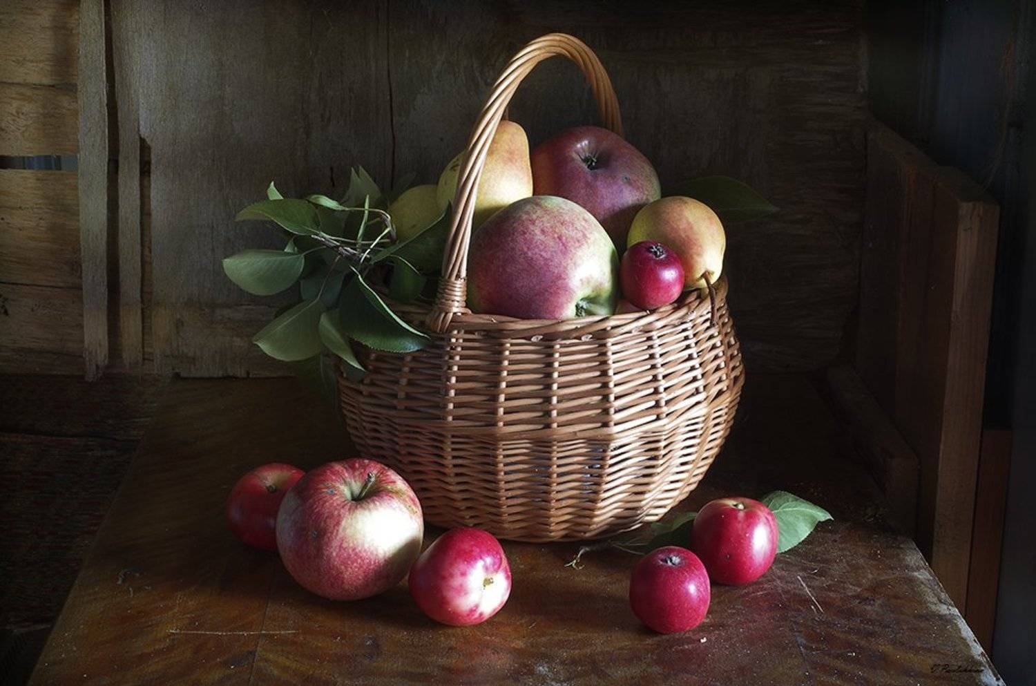 натюрморт,яблоки,лукошко,вера павлухина,, Вера  Павлухина