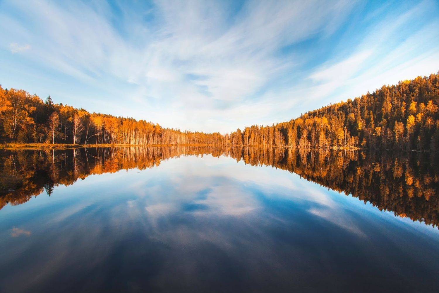 , Юрий Столыпин