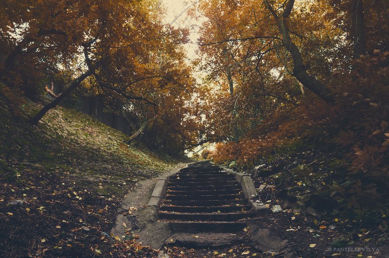 *** фото превью