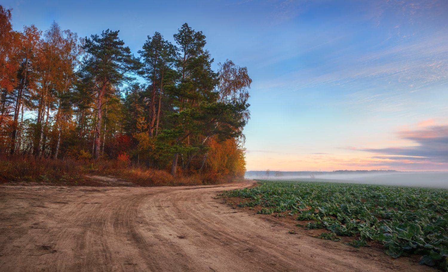 рассвет, осень, поле, лес,, Сергей Шабуневич