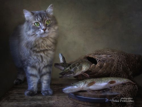 - А эти хищники меня не съедят?