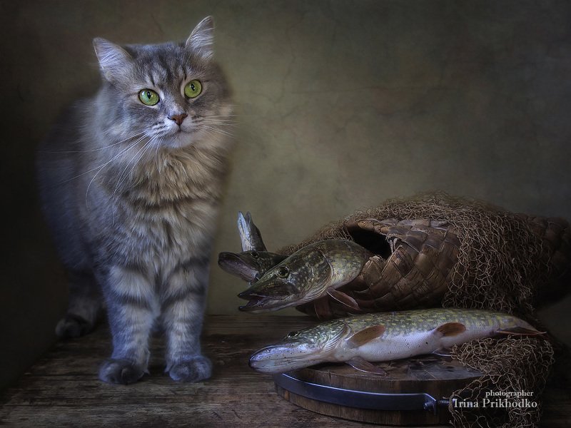 - А эти хищники меня не съедят? фото превью