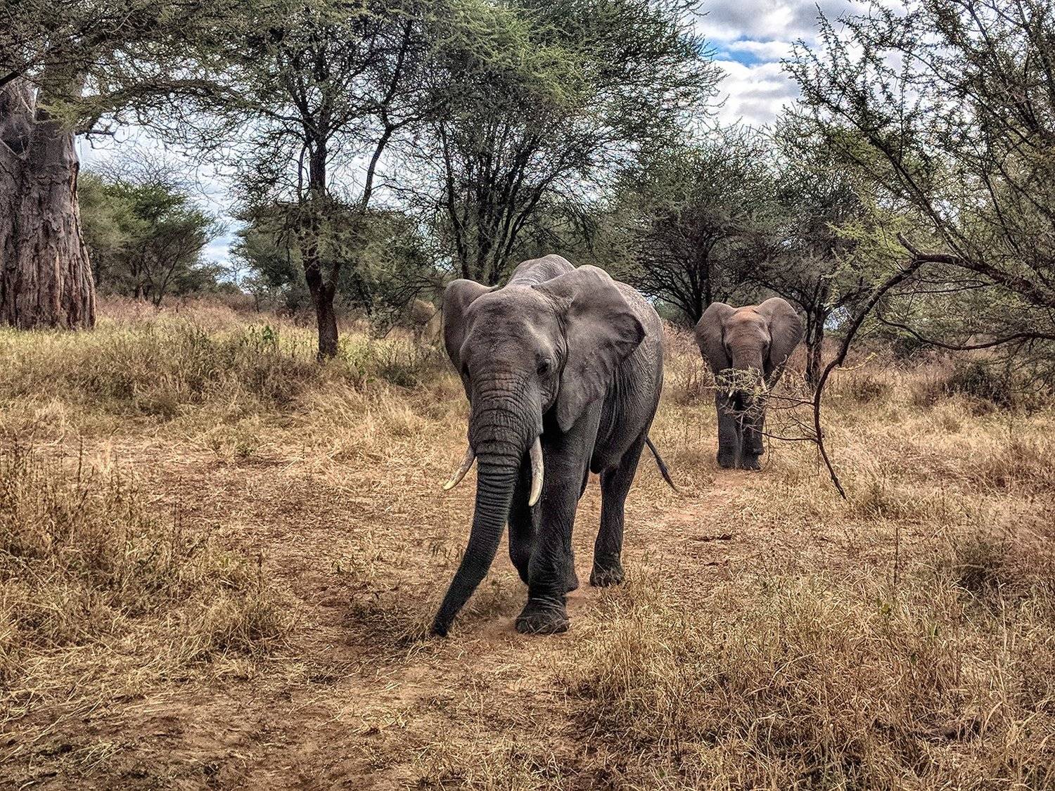 , Рашид Усманов