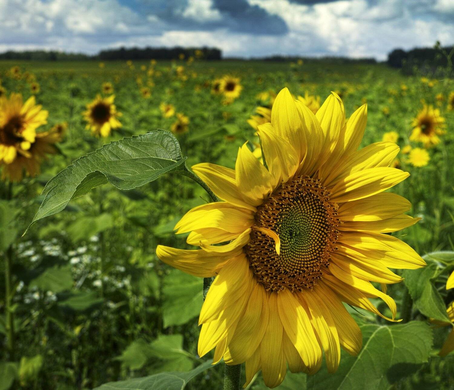 , Бусыгин Борис