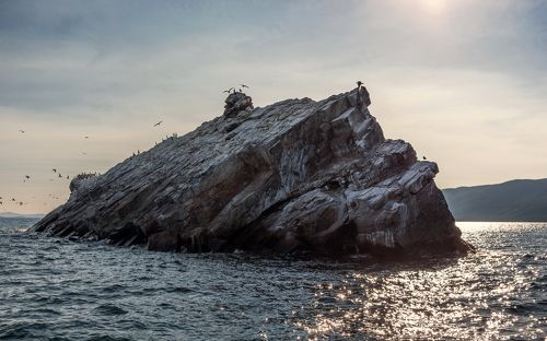 Чудо-юдо рыба-Кит.