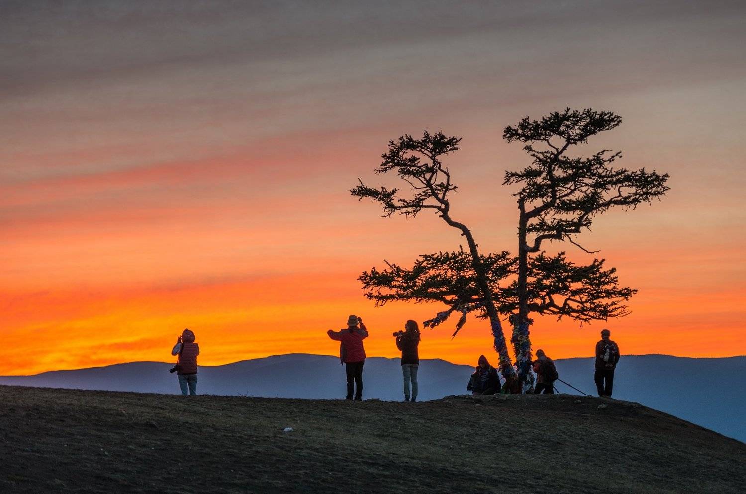 сибирь, озеро байкал, остров ольхон, дерево, лиственница, древо желаний, ник васильев, закат, фотографы, Николай Васильев