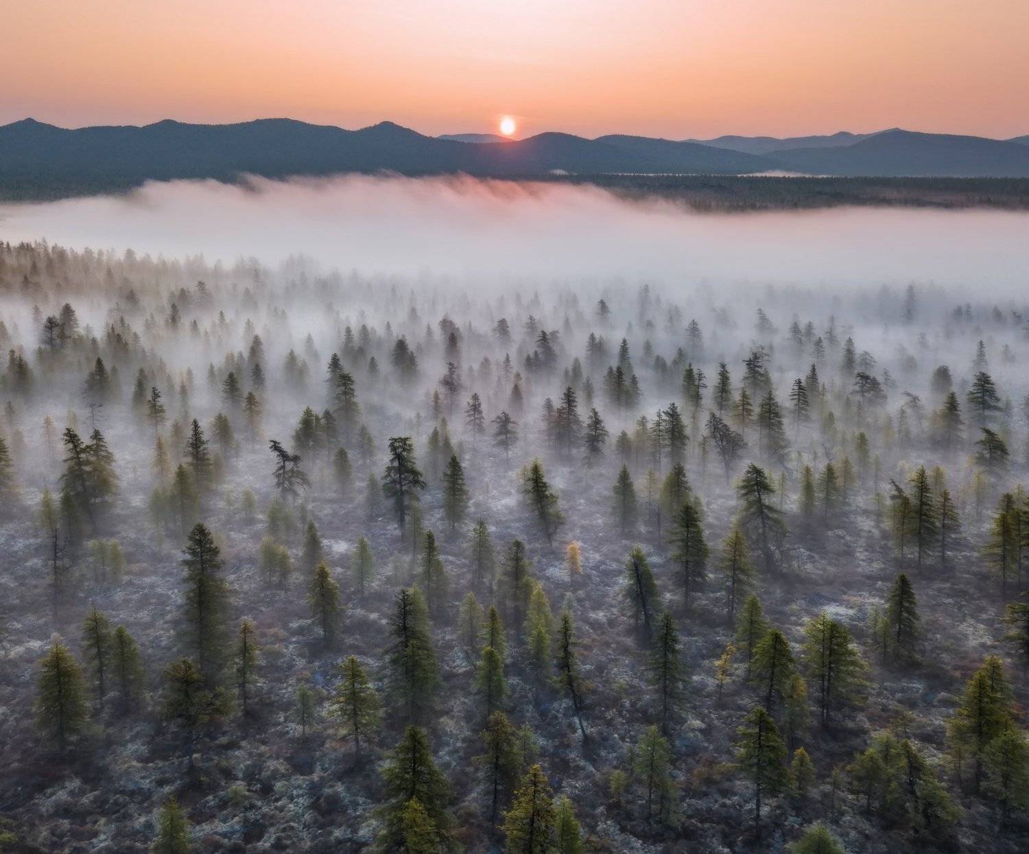 колыма, Андрей Грачев