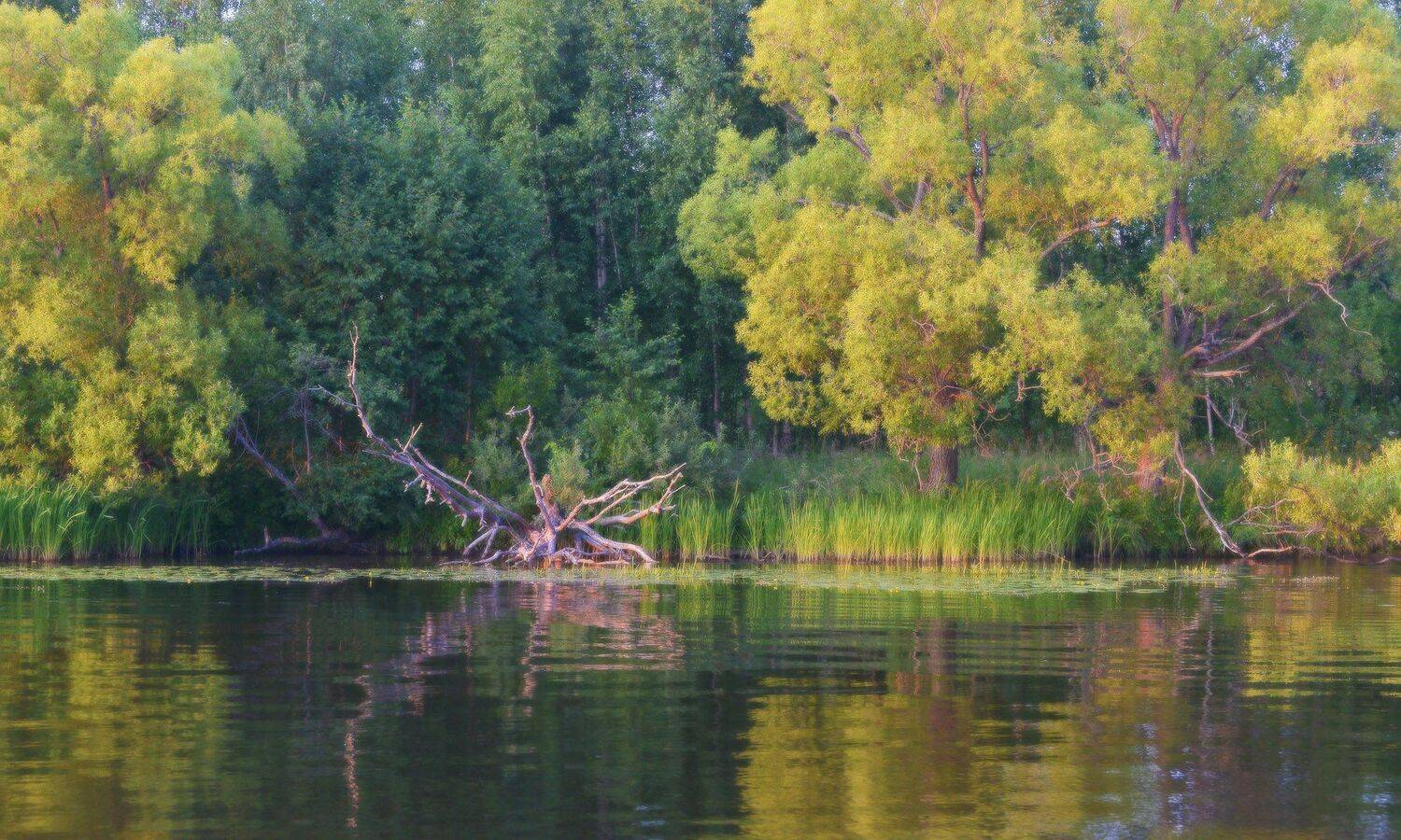 , Сергей Седов