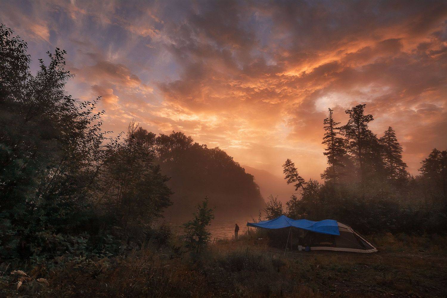 , Шинкарева Елена